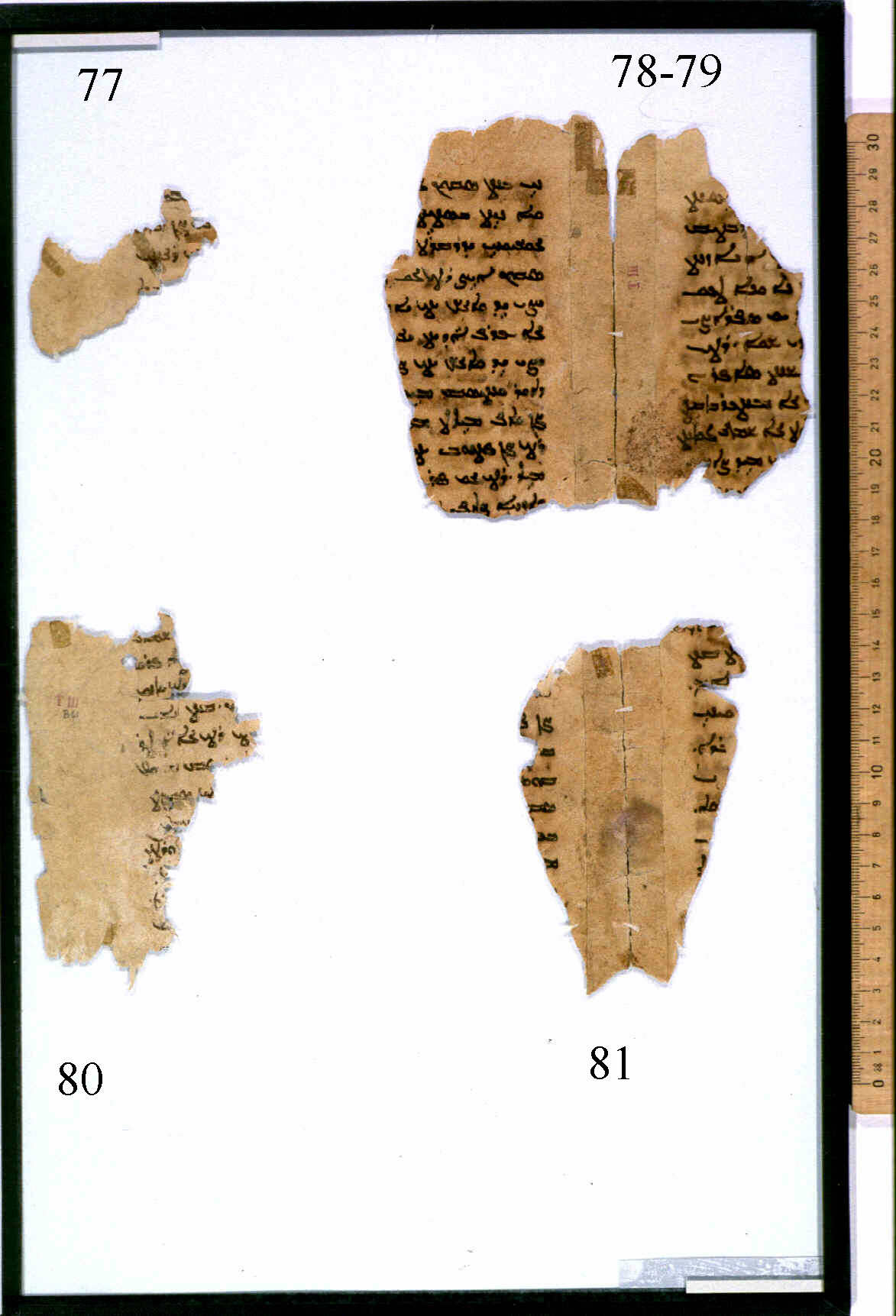 Titus Texts Sogdian Corpus Nsw Arranged By Texts Frame